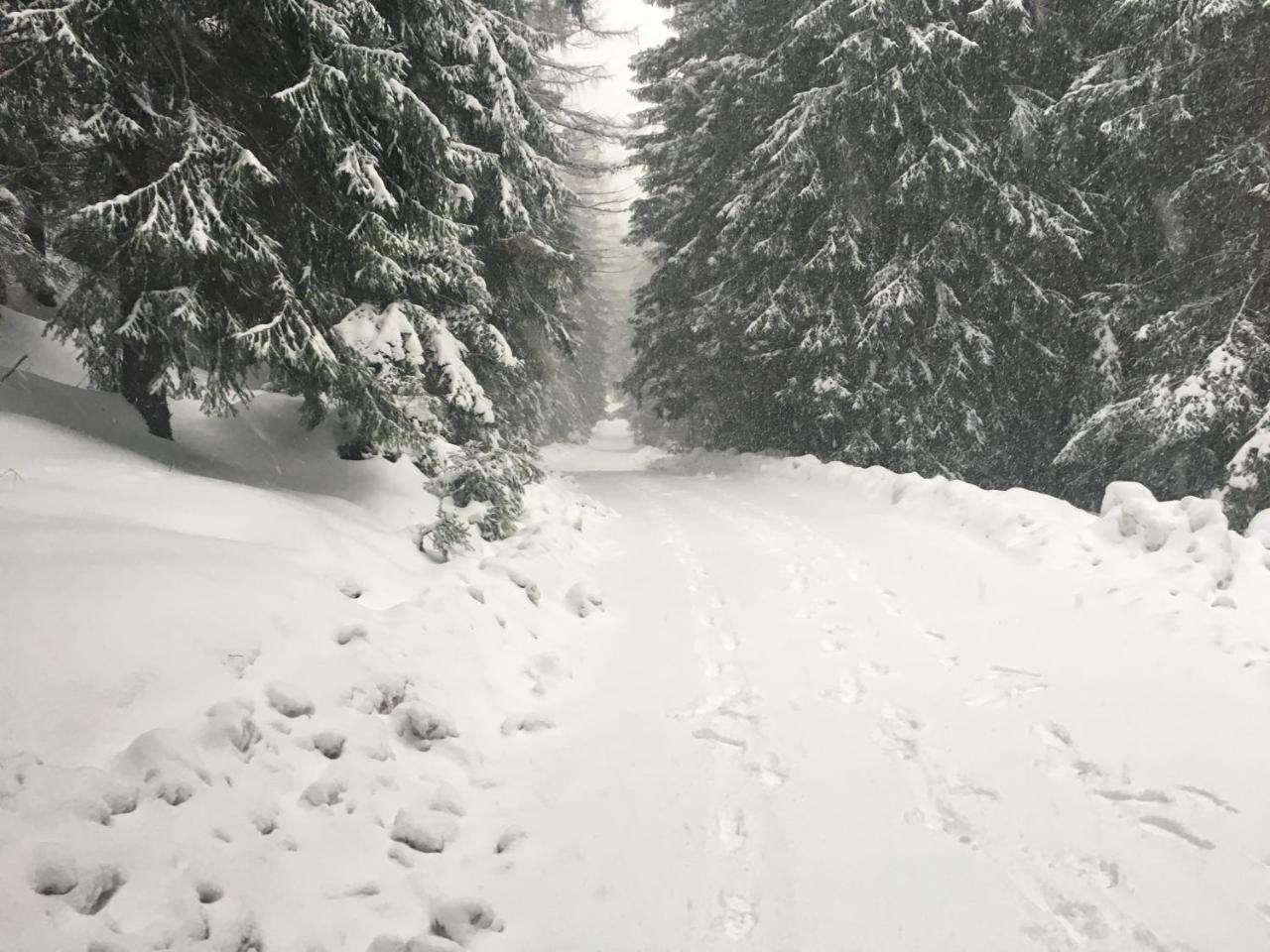 Chalet Rackova Dolina Прибилина Екстериор снимка