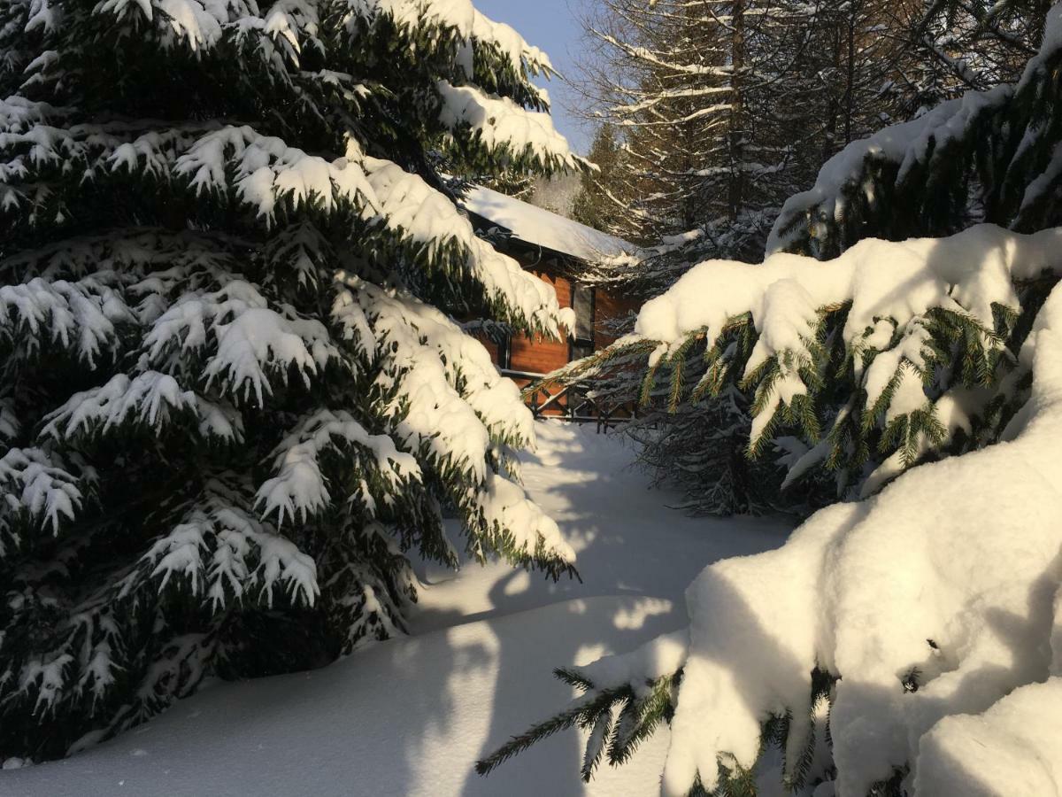 Chalet Rackova Dolina Прибилина Екстериор снимка